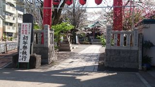 桂昌院ゆかりの神社です