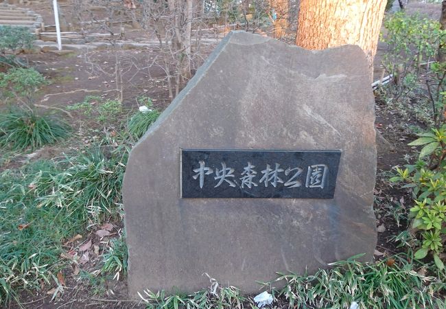 緑に囲まれた公園