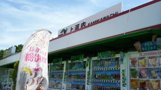 宇都宮餃子が買えます。