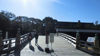 堀には大量の藻がありました