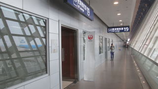 朝のJALサクララウンジ (上海浦東国際空港)