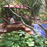 シェラトン グランデ スクンビット A ラグジュアリー コレ