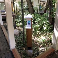 ホテルの部屋の番号はこんな感じで案内されています。