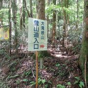 仙台平キャンプ場にある登山口から大滝根山に登りました