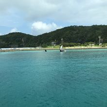 鯨でも有名だそうで