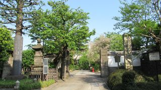 見るものがいろいろありそうな寺院ですが・・・・