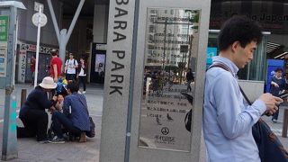 公園というより広場な雰囲気