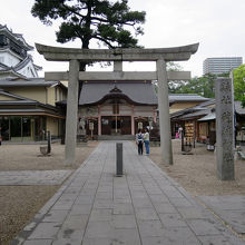 「龍城神社」、左隣は岡崎城の天守閣です