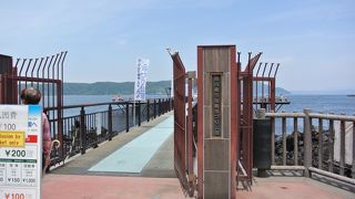 入場料200円、野良猫が太ってる