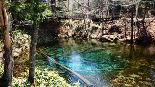 本当に青い神秘的な美しさの池です