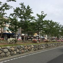 写真は４月後半のもの。