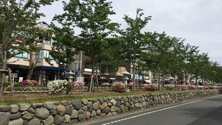 ツツジの季節。