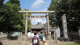 三社祭が近づくとワクワクしてきます