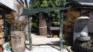 見落とさないように注意