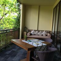 鳥や小動物もやってきます。