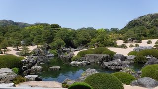 見事な庭園と日本画