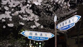 桜の時期は夜がおすすめ！