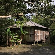 田中一村美術館の見学後に