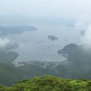 加計呂麻島と湾内のマグロ養殖場