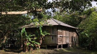 田中一村美術館の見学後に