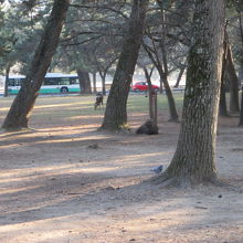 ここは少ないエリアです