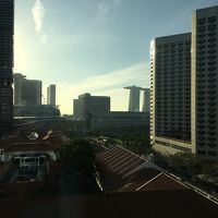 マリーナベイサンズも見えました