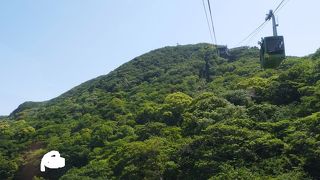 下田市街を一望