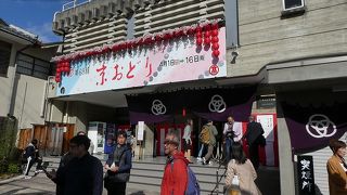 初めての京踊り