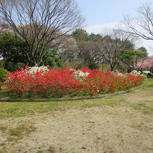 一部は西洋式公園になっています