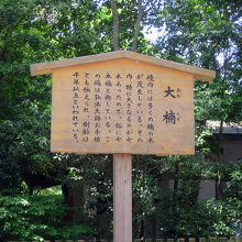 弘法大師の御手植えであったも、何の不思議もありません