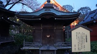 端正な造りが印象的