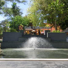 ﾊﾞﾘｺﾚｸｼｮﾝ