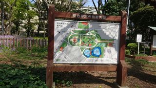 イチョウ並木の人工自然美