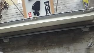 マグロが本格的です