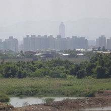 関渡自然公園の風景です。