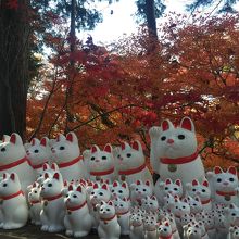 ちょっと怖くなってしまうくらい沢山あります！