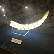 バッファローマンの角。