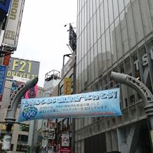 この雰囲気に心躍らせた