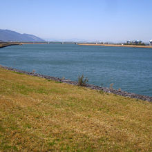 たしかに大きな堤防です