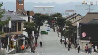 松の木が植えられた600mほどの参道です