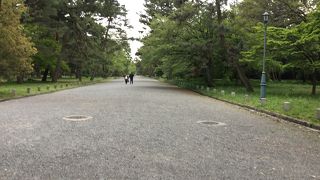 今出川御門から　入って散策してみました