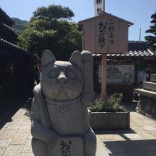 左手を挙げている猫は人を呼ぶそうです