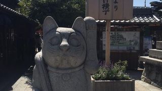 猫探しも楽しいかもしれません。