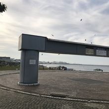 上空にはトンビが！