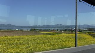 のんびりとした小島