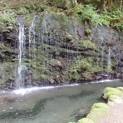 鷹巣山下山途中に千条の滝に寄りました