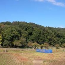 丘陵に囲まれた公園