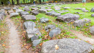 天守礎石がいっぱい