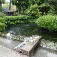 水を汲める様になっています