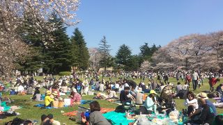 お弁当のご持参をおすすめします